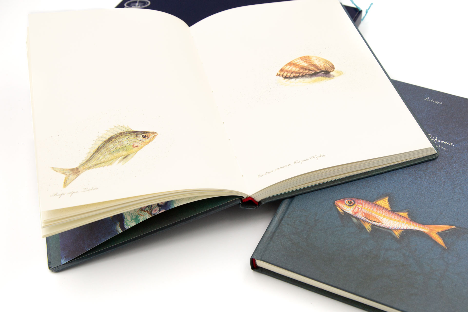 Book of secrets "in the Greek Deep-blue" - Spread and Front