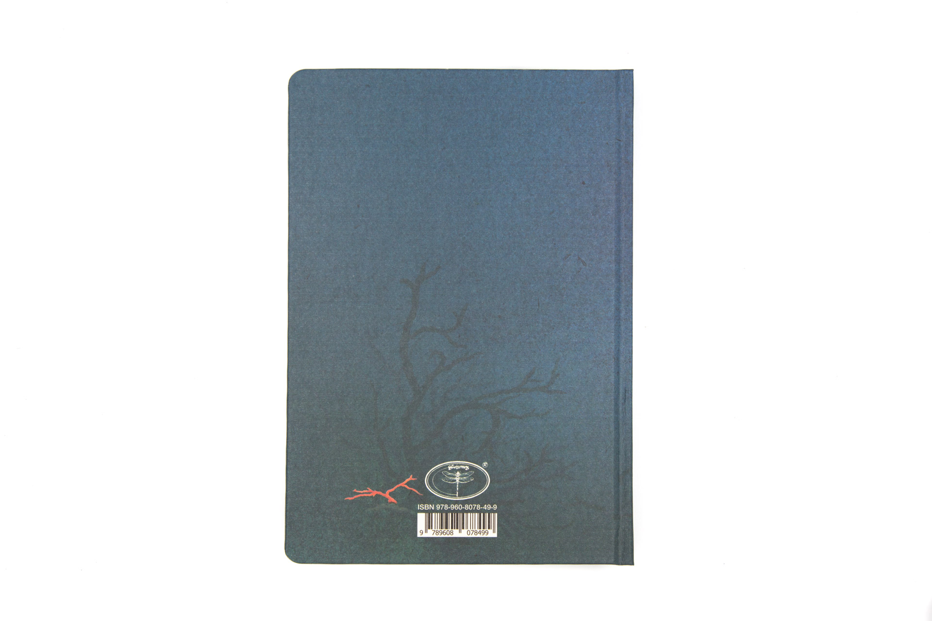 Book of secrets "in the Greek Deep-blue" - Back