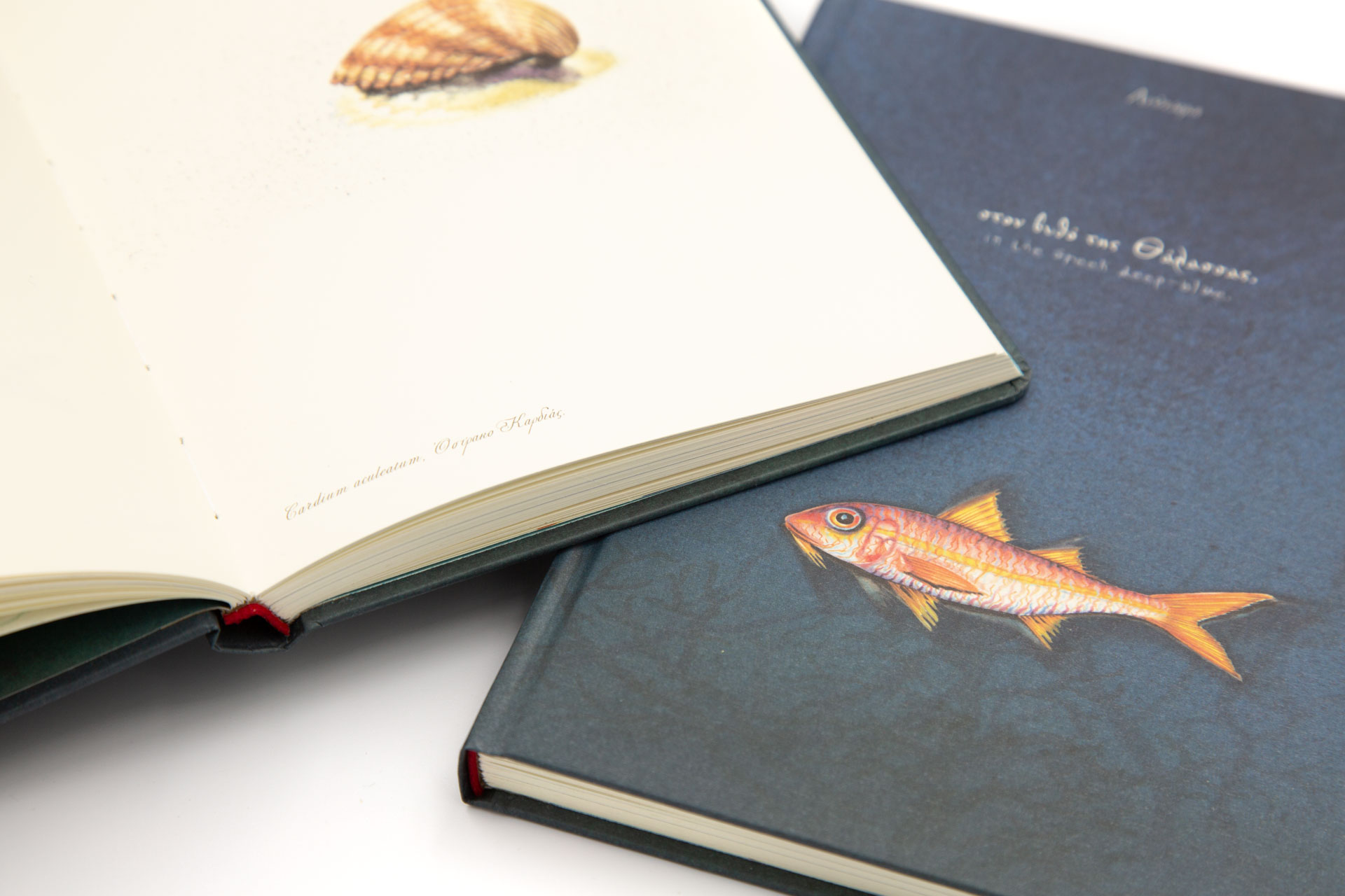 Book of secrets "in the Greek Deep-blue" - Details