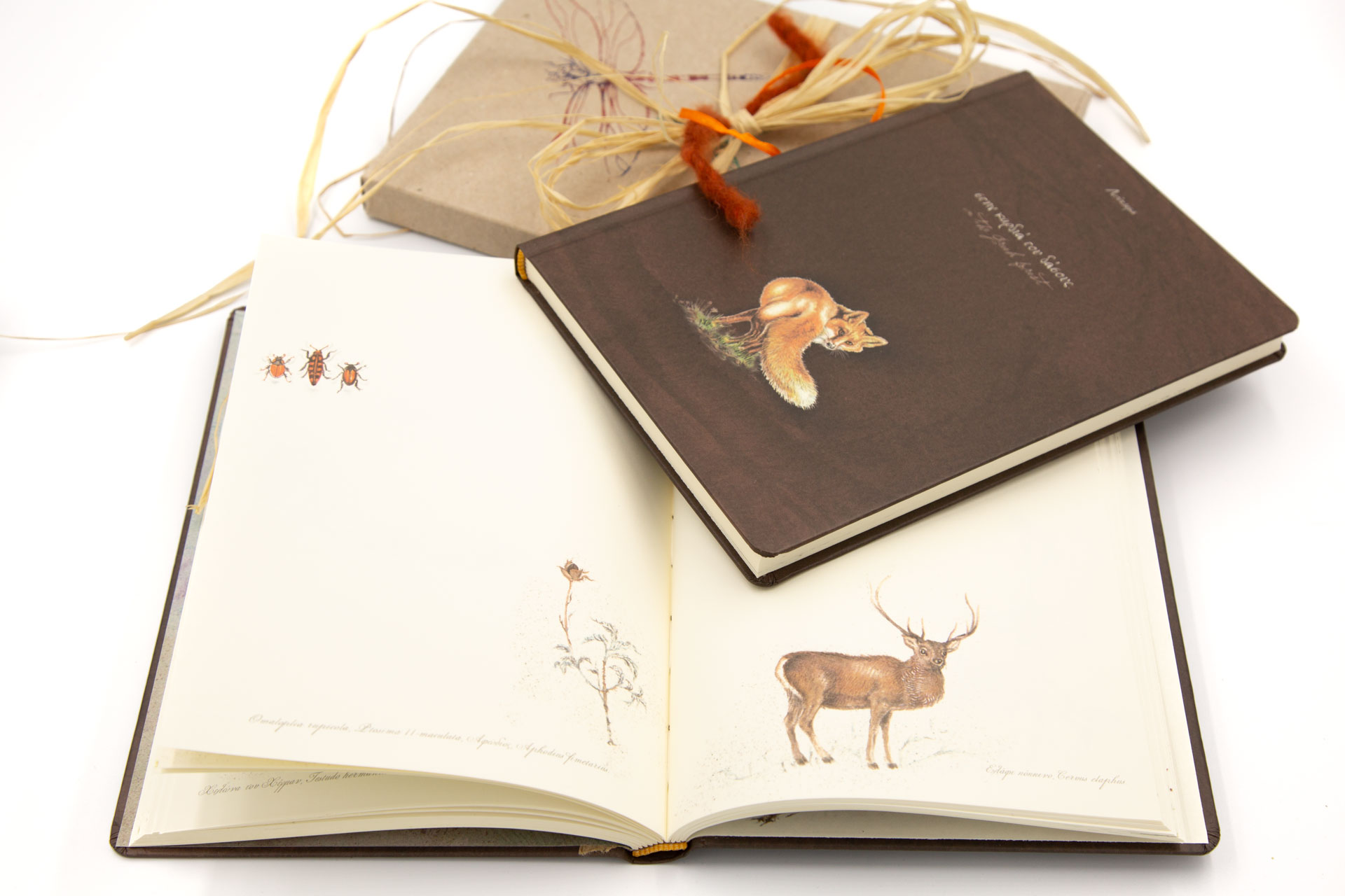 Book of secrets "in the Greek Forest" - Front, Spread and Packaging