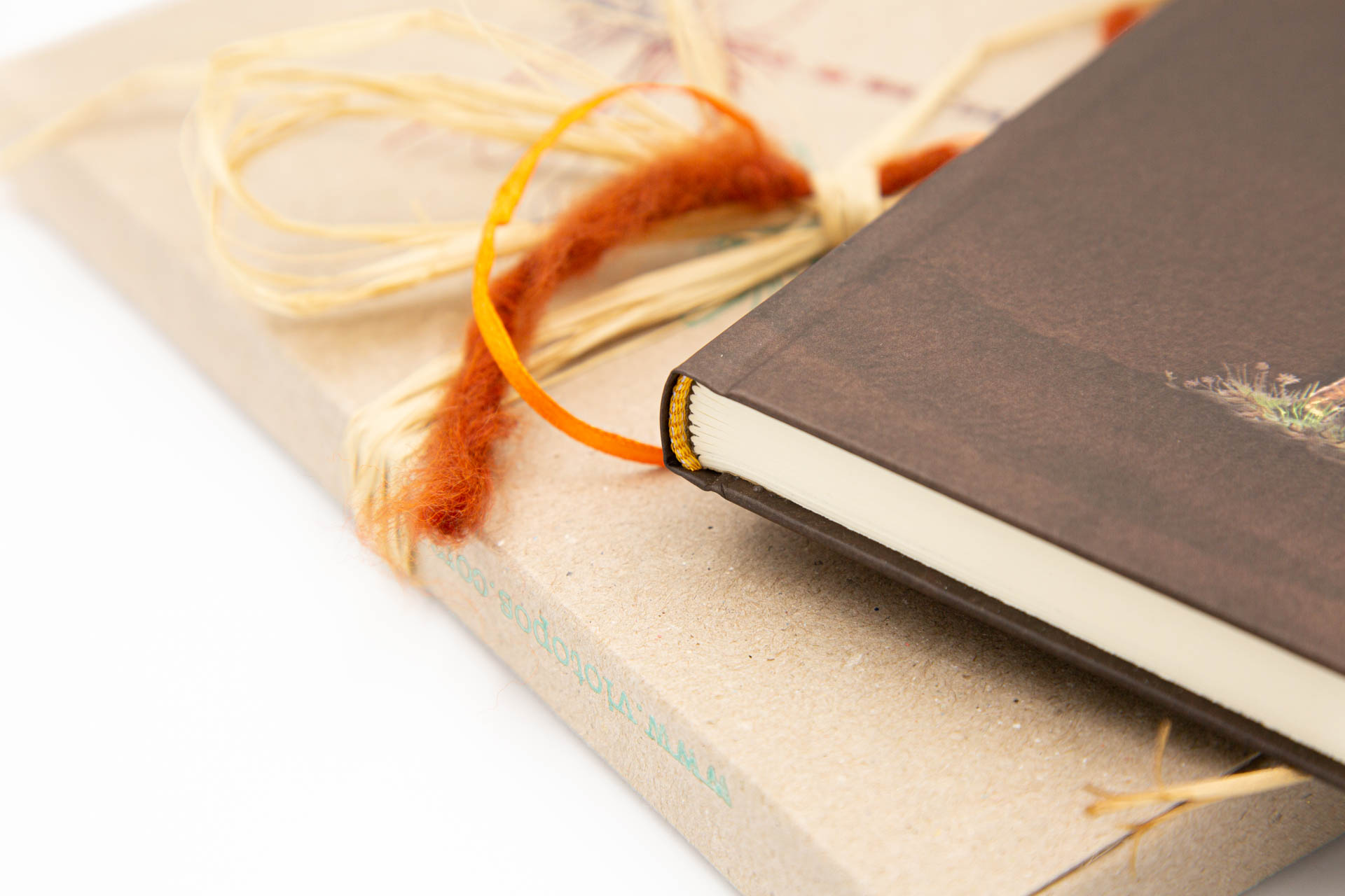 Book of secrets "in the Greek Forest" - Details
