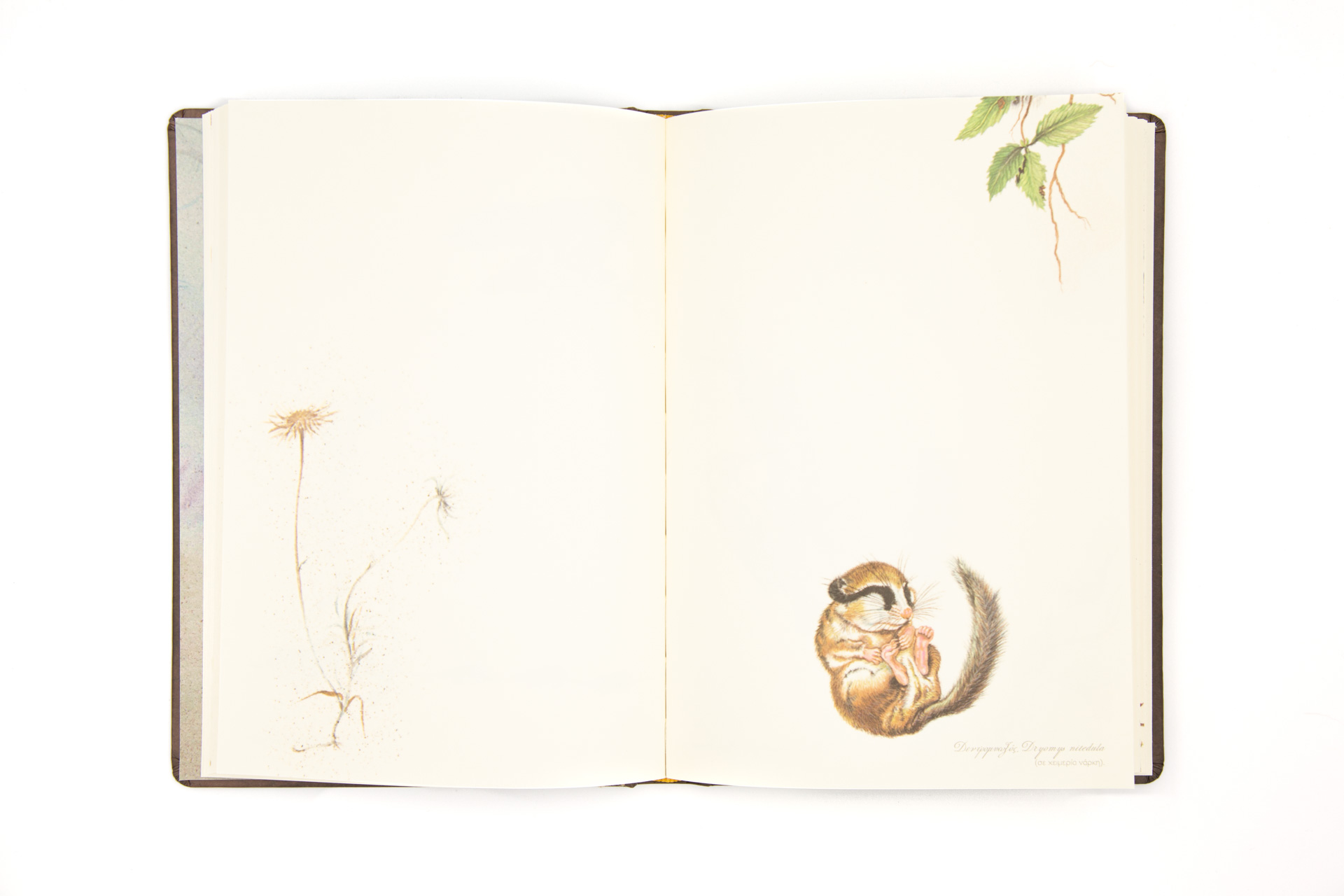 Book of secrets "in the Greek Forest" - Spread