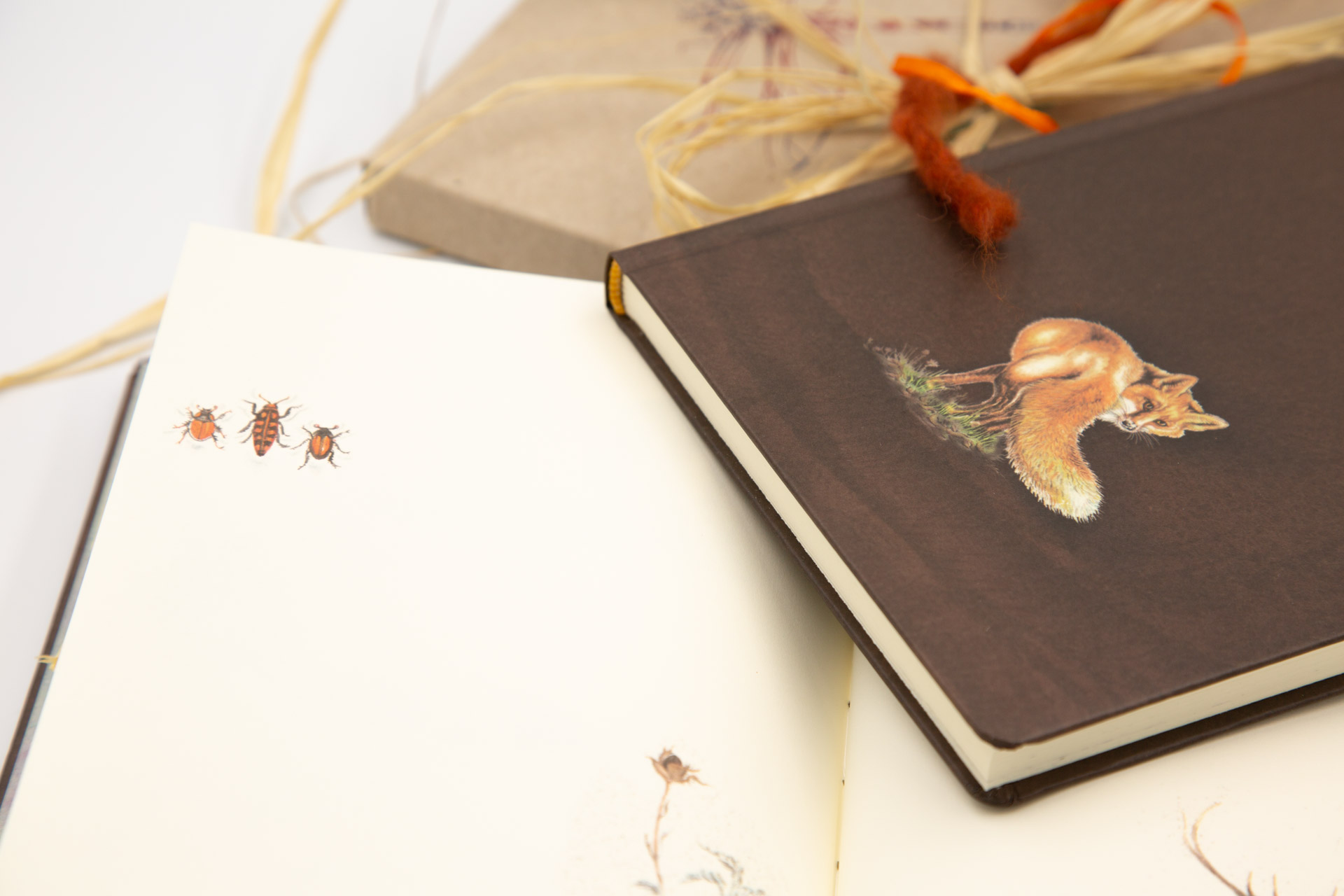 Book of secrets "in the Greek Forest" - Details