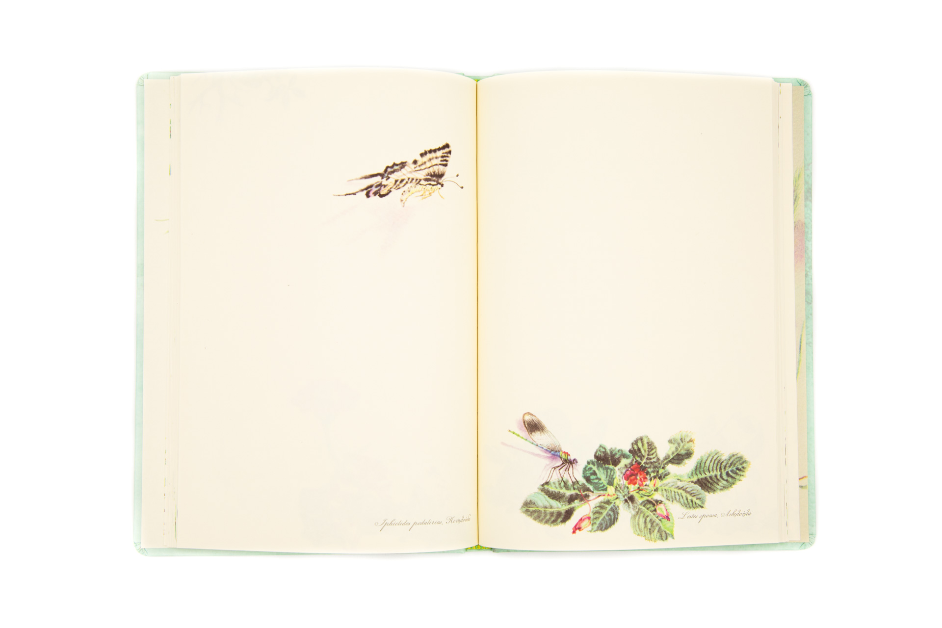 Book of Secrets "Flowers of the Greek Land" - Spread