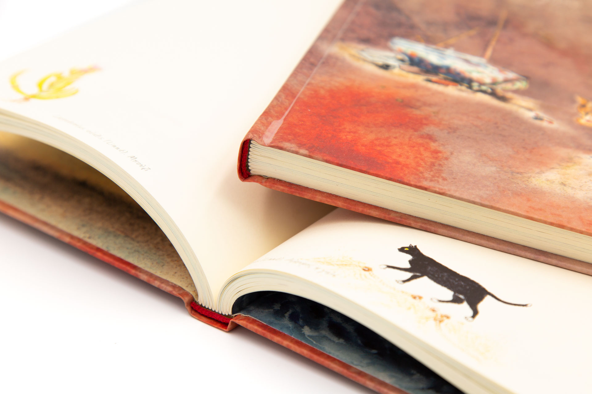 Book of Secrets "From the Seaside" - Inner detail