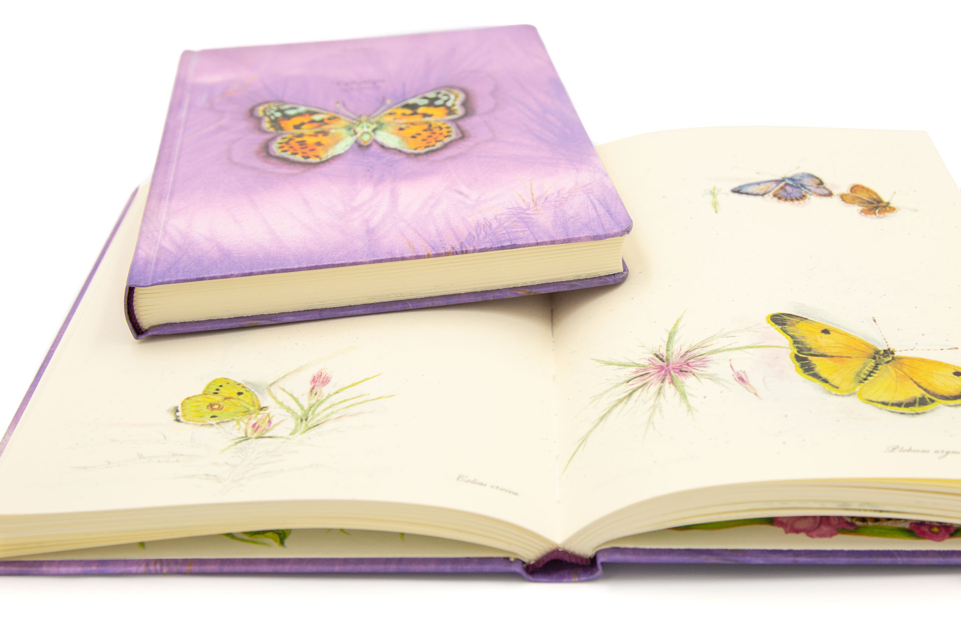 Book of secrets "Ephemera" - Spread and Front
