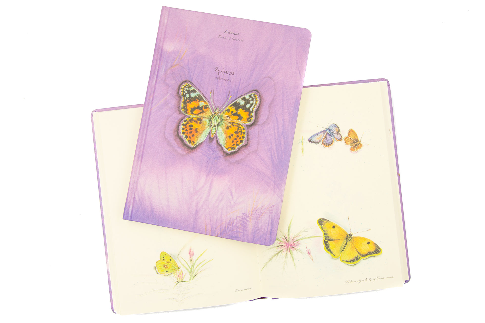 Book of secrets "Ephemera" - Front and Spread