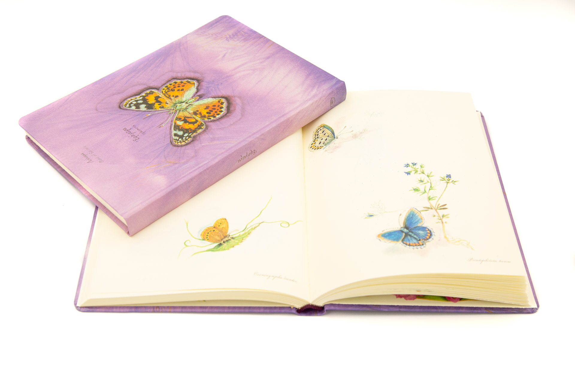 Book of secrets "Ephemera" - Front and Spread