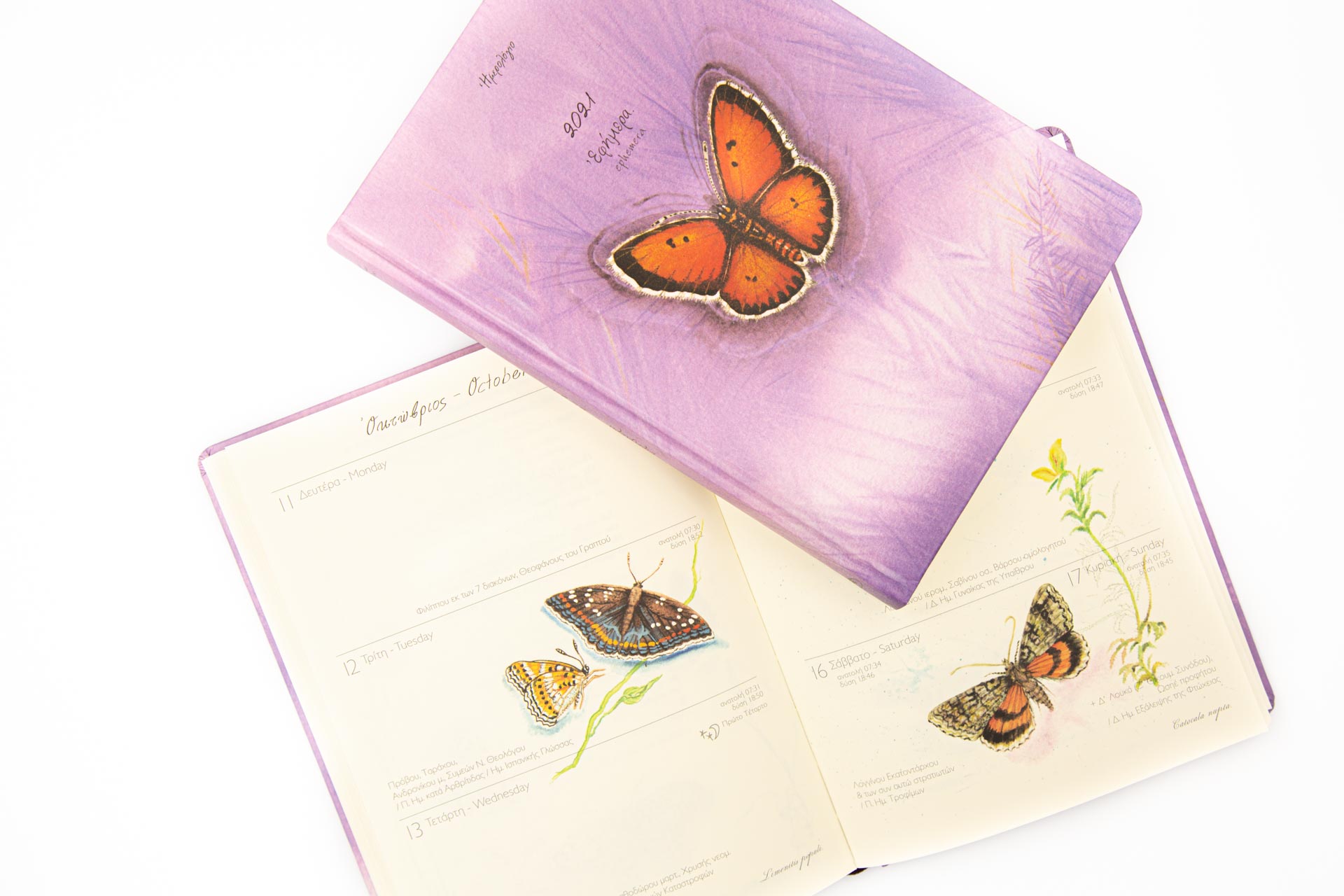 Diary 2021 "Ephemera" by Viotopos publishing - Front side and spread