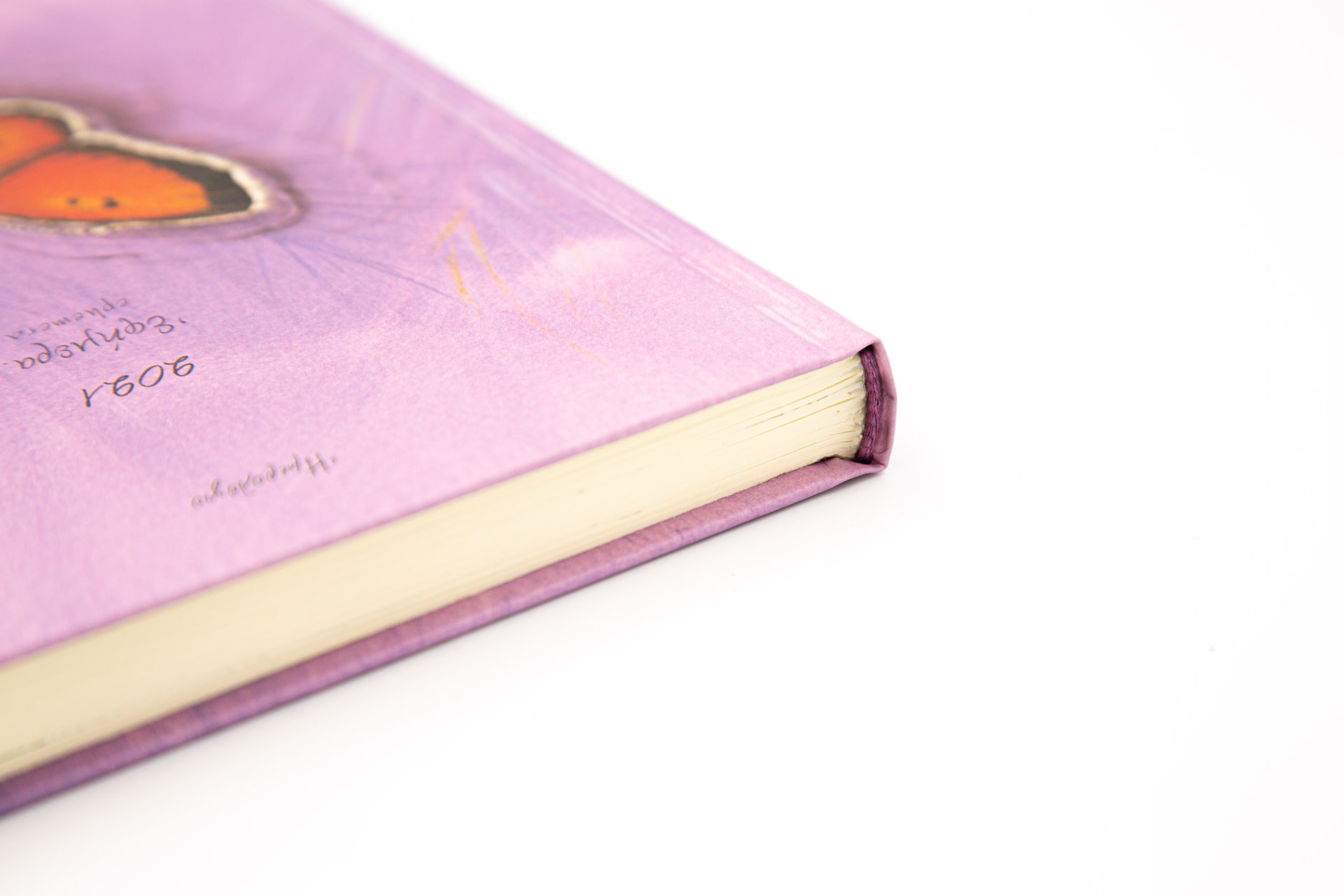 Diary 2021 "Ephemera" by Viotopos publishing - Detail
