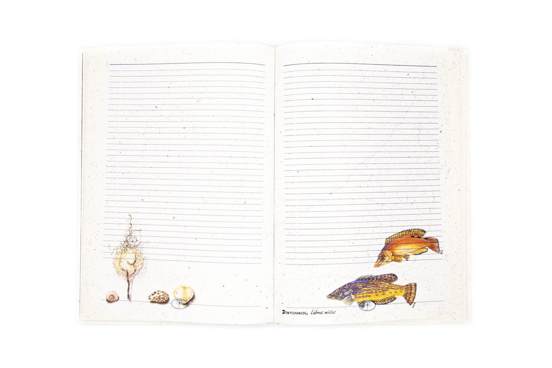 Personal notebook "Archipelago" - Spread
