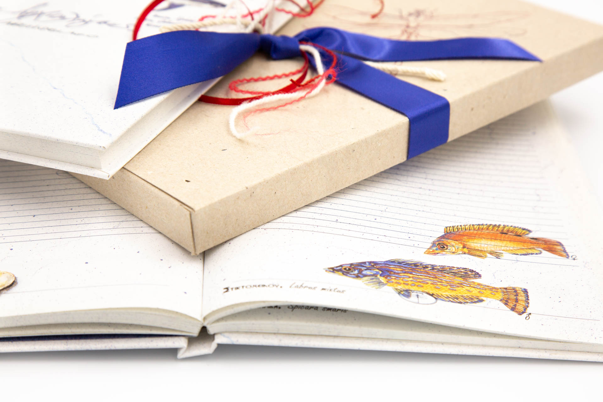 Personal notebook "Archipelago" - Details