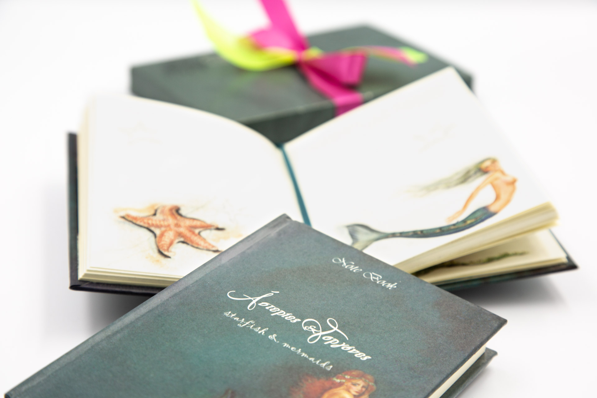Small notebook "Starfish and Mermaids" - Details