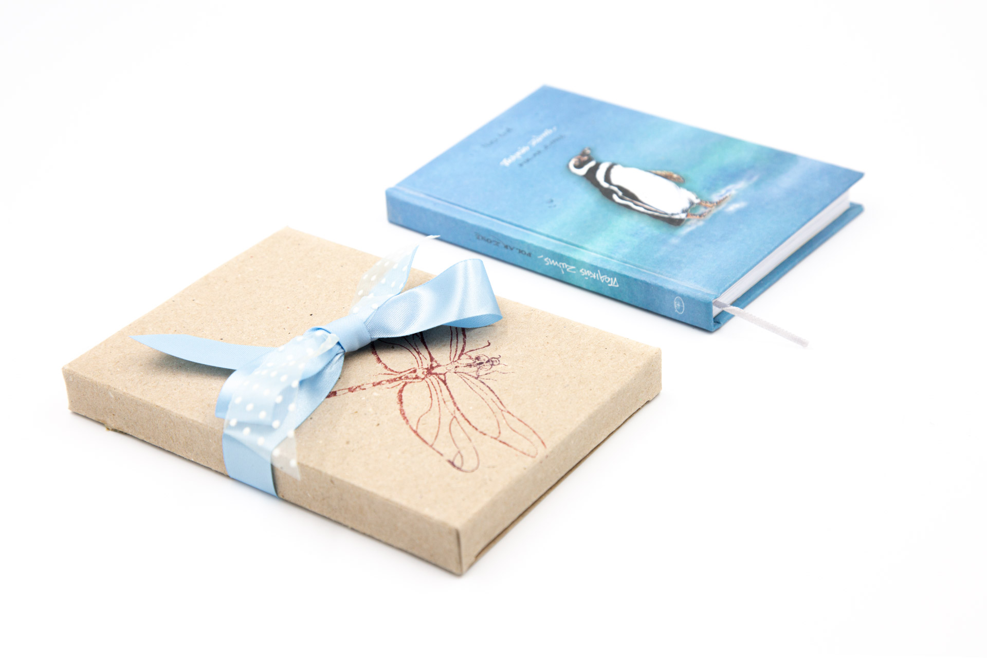 Small notebook "Polar Zone" - Gift and Front