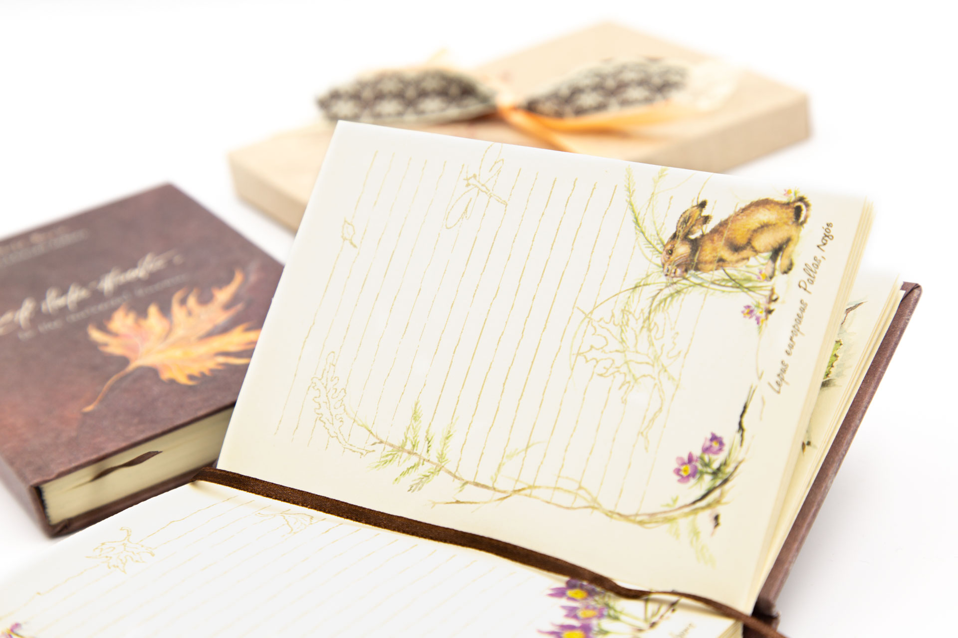 Small notebook "to the Universal Known" - Spread 