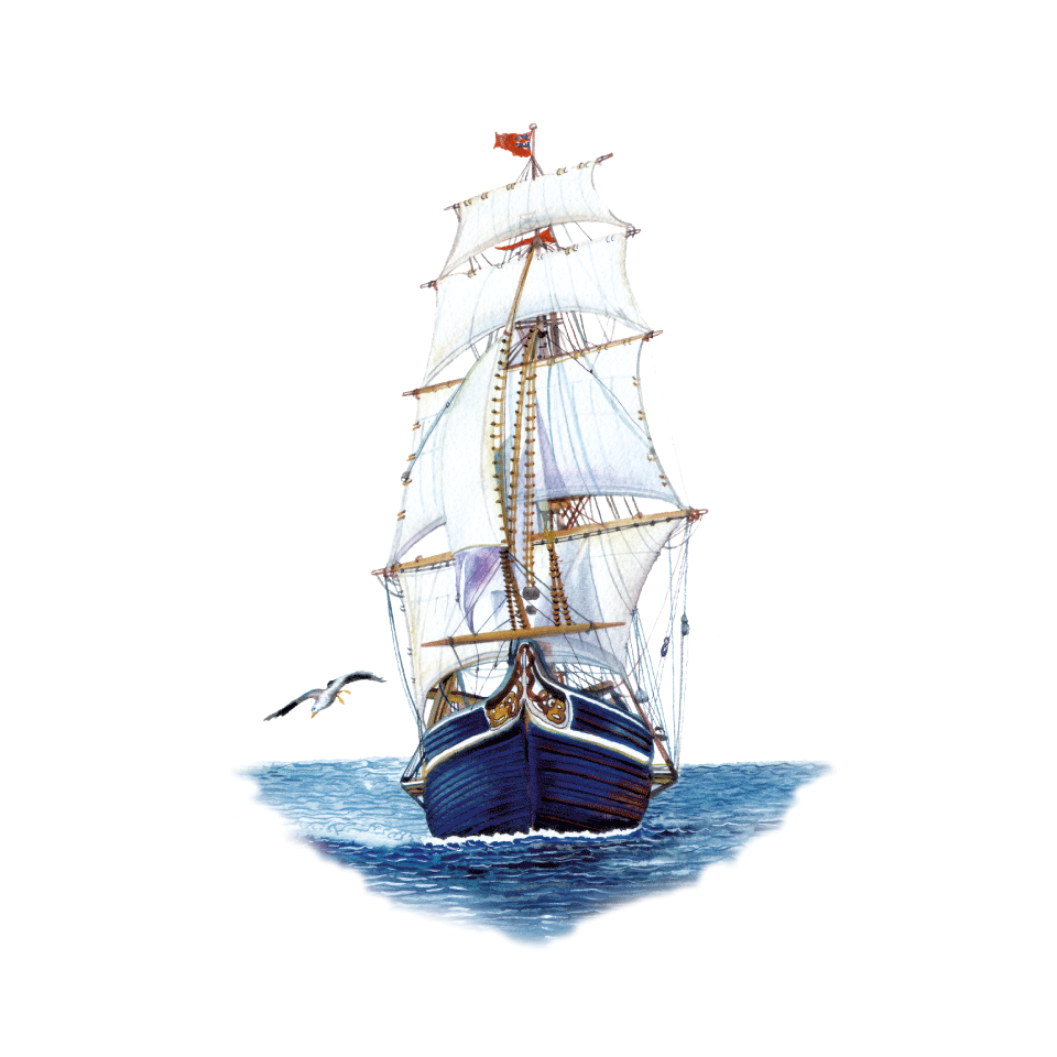 sailboats icon