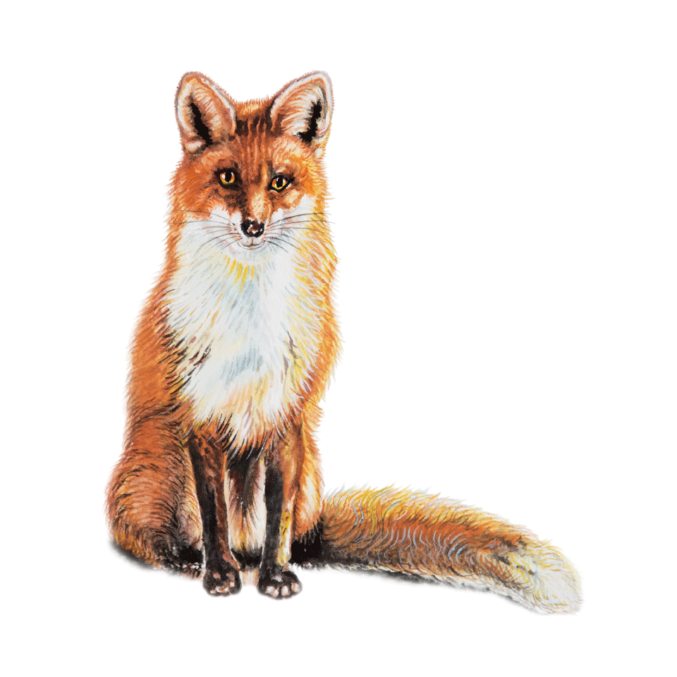 In the Greek Forest series icon