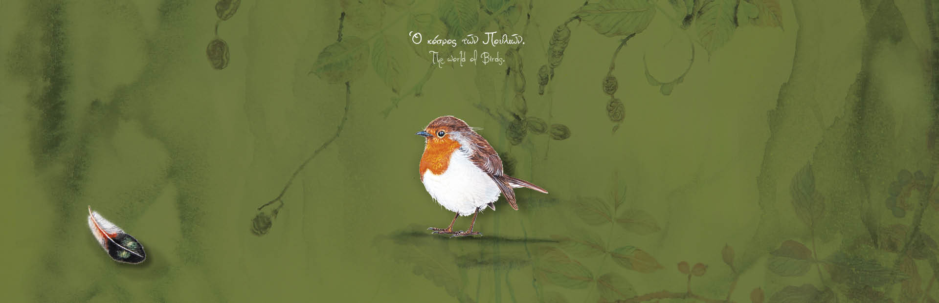 The World of Birds series theme
