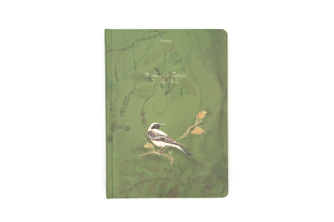 Book of secrets "the World of Birds" - Front