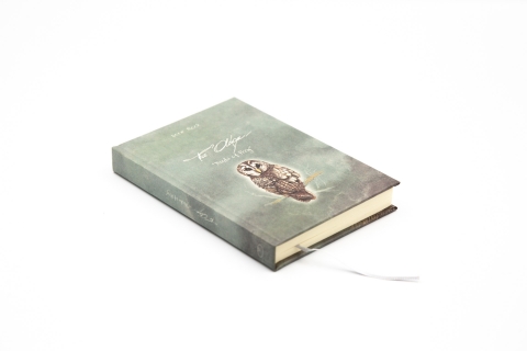 Small notebook "Birds of Prey" - Front