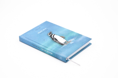 Small notebook "Polar Zone" - Front
